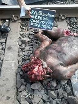 cid:2C48064AF15A4D1CB684CA625C88BE06@DumDumGRPSPC