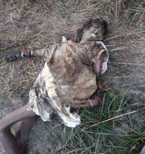 cid:50644BEF9167426E884F1C83AD7CD577@soumak