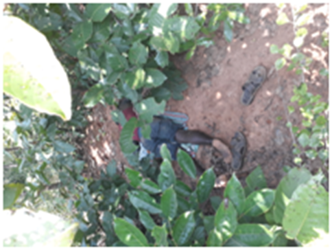 cid:083601d366d2$683deb10$0201a8c0@64bitPC