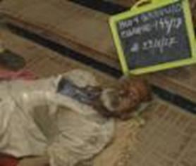 20CCC1F7CF7B46CDBA9F7435E0DFD5AA@wb3c26452ae184