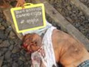 76CD7CC185594A5F8DBAD12F46D78E04@wb3c26452ae184