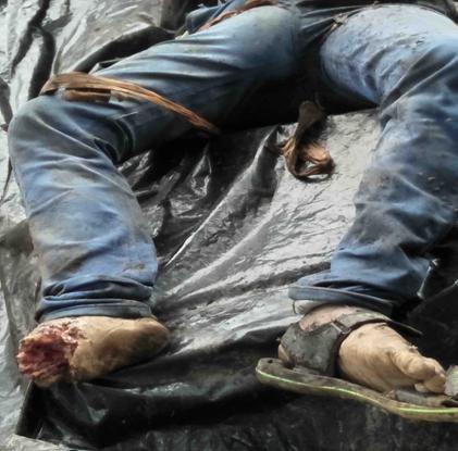 IMG20171116121815 (1)