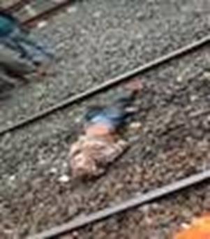 cid:444AFEF772174BFBA53565899227830C@SonarpurGRPSPC