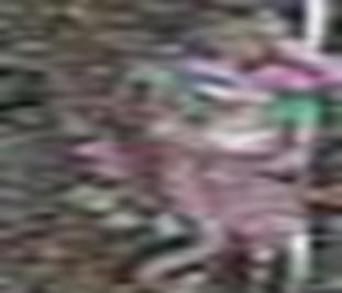 E78853E02C414F329354C1AAD0F89267@jadavpur