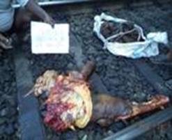 cid:image001.jpg@01D497A1.9E4D6C70