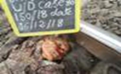 ED6A3D50D128471E8A5433574556B4FE@wb3c26452ae184