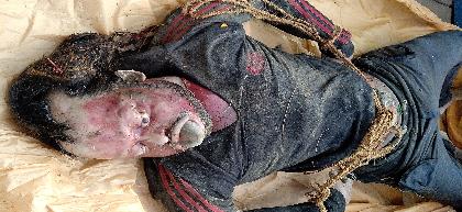 cid:image001.jpg@01D48F25.E32AC560