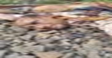 cid:image003.jpg@01D48F1B.54DC4E00