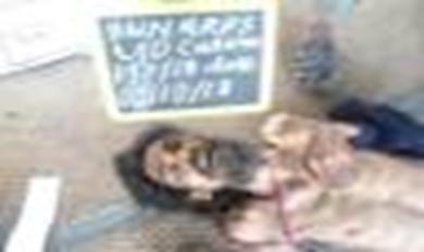 1856988E5C694BC8AB24215235A2E2AE@wb3c26452ae184