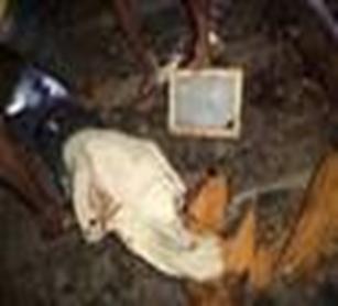 cid:image003.jpg@01D48A27.641BD410