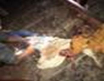 cid:image004.jpg@01D48A27.641BD410