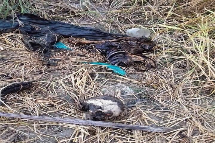 cid:image001.jpg@01D489DE.FB174BE0