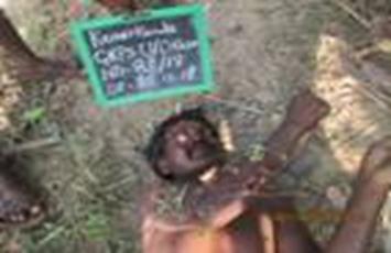 cid:image001.jpg@01D488EC.ECE9C630