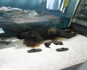 cid:image001.jpg@01D488CA.DF611580