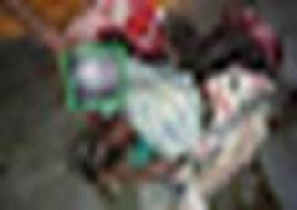 cid:image001.jpg@01D4878A.EEDFADA0