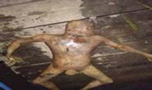 cid:image001.jpg@01D48702.DA1AF0B0