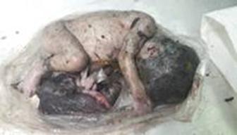 cid:image001.jpg@01D48683.8B19F940