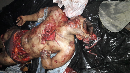 cid:image001.png@01D48387.F5B5E830