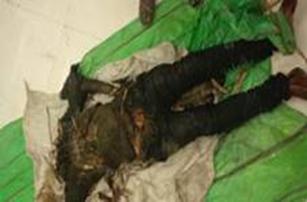 cid:image001.jpg@01D482A7.4763F730