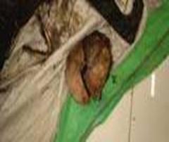 cid:image002.jpg@01D482A7.4763F730