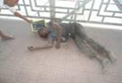 B969E65A755A4758B416AAD821DFD1B4@wb3c26452ae184