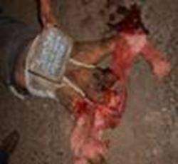 cid:image001.jpg@01D47BEF.9CED13D0