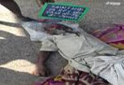 cid:image001.jpg@01D47022.B23AE470