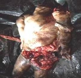 cid:2BC568217AB347A6A791C68212FC7595@DumDumGRPSPC