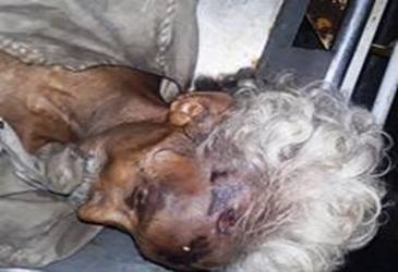 cid:image001.jpg@01D46D5D.7E3B7940