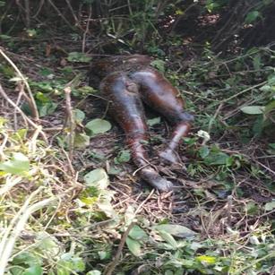 WhatsApp Image 2018-10-23 at 7.31.13 PM