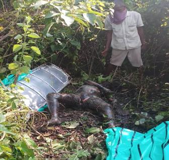 WhatsApp Image 2018-10-23 at 7.30.36 PM