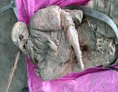 cid:image001.jpg@01D54AC1.56B3B8A0