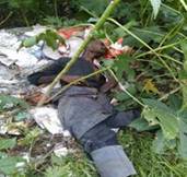 cid:9C193427F4BC435CB2152A9979FD7491@MAILPC