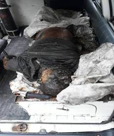 cid:image001.jpg@01D54483.7E9842D0