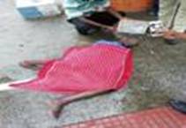 cid:image001.jpg@01D54266.25824750