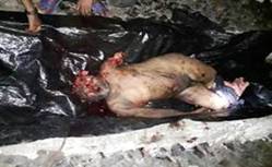 cid:image001.jpg@01D53B6D.96F5E8B0