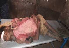 cid:image001.jpg@01D53A38.FC9C77F0