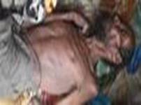 cid:image001.jpg@01D539D3.CF932F70