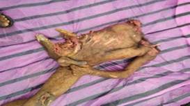 cid:image002.jpg@01D53275.A0019B80