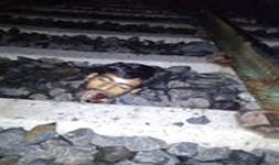 cid:image006.jpg@01D53275.A0019B80